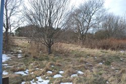 Gyvelvej 19, 9981 Jerup