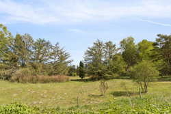 Storegade 80, Pindstrup, 8550 Ryomgård