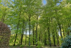 Sindingvej 46, Sinding, 8600 Silkeborg