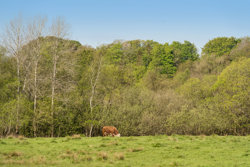Holmemarksvej 36, Taulov, 7000 Fredericia