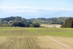 Storskovvej 76, Dorf, 9330 Dronninglund