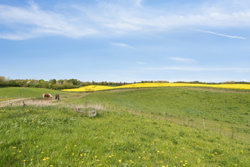 Hovvejen 6, Mammen, 8850 Bjerringbro