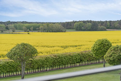 Visborgvej 49, Visborg, 9560 Hadsund