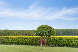 Visborgvej 49, Visborg, 9560 Hadsund