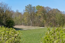 Odinsvej 15, 6990 Ulfborg