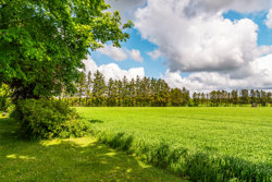 Hestbjergvej 4, Vind, 7500 Holstebro