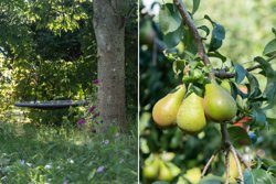 Gosmervej 104, Halling, 8300 Odder