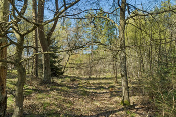 Fasanvej 18, 8400 Ebeltoft