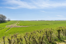 Mellemtoften 60, Selkær Mølle, 8585 Glesborg