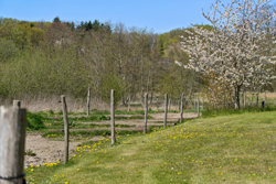 Svejstrupvej 15, Svejstrup, 8660 Skanderborg