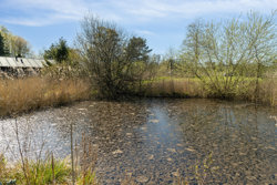 Haldkjærvej 9, 8400 Ebeltoft