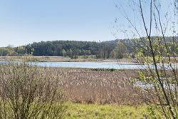 Bækgården 6, Grauballe, 8600 Silkeborg