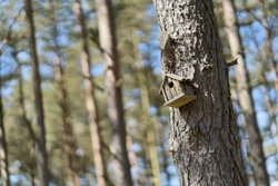 Vidjeparken 38, Helberskov, 9560 Hadsund