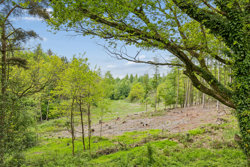 Bjergevej 2, Faurskov, 5560 Aarup