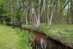 Toften 12, Nr Hurup, 9560 Hadsund