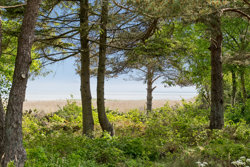 Vidjeparken 112, Helberskov, 9560 Hadsund