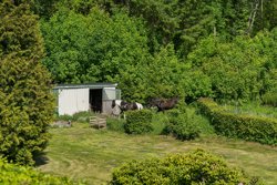 Houlbjergvej 2A, Enslev, 8870 Langå