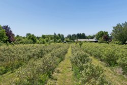 Skelund Hovedgade 40, Skelund, 9560 Hadsund