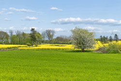 Grølstedvej 10, Grølsted, 8881 Thorsø