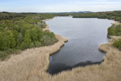 Ringsøvej 6, Pindstrup, 8550 Ryomgård