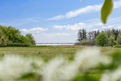 Harpøtvej 140, Skalstrup, 7570 Vemb