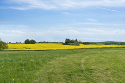 Årløse Bygade 3, 4690 Haslev