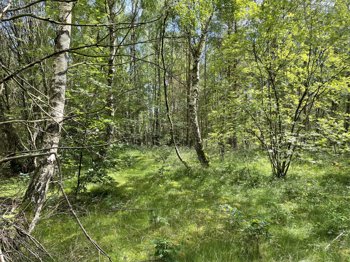 Mads'S Plantage 31, 9560 Hadsund