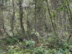 Mads'S Plantage 31, Helberskov, 9560 Hadsund