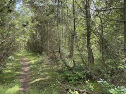 Mads'S Plantage 31, Helberskov, 9560 Hadsund