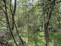 Mads'S Plantage 31, Helberskov, 9560 Hadsund