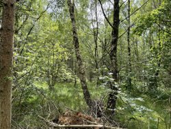 Mads'S Plantage 31, Helberskov, 9560 Hadsund