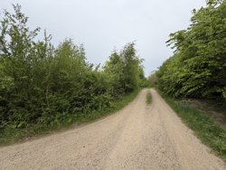 Nykjærsvej 12, Ørby, 8420 Knebel