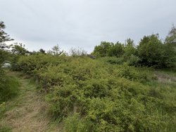 Nykjærsvej 12, Ørby, 8420 Knebel