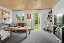 Mindstrupvej 3, Bjerlev, 7300 Jelling
