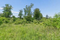 Sallvej 65A, 8450 Hammel