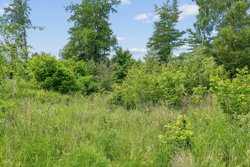 Sallvej 65A, 8450 Hammel