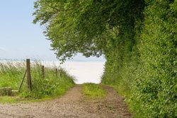 Ørbyhage 79, 6100 Haderslev