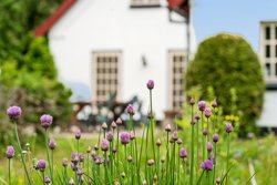 Milmosevej 3, 9510 Arden