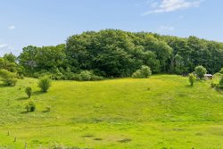 Svampedamvej 19, Femmøller, 8400 Ebeltoft