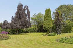 Mindstrupvej 3, Bjerlev, 7300 Jelling