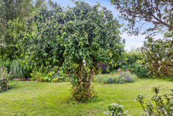 Lindumvej 6, Hvornum, 9500 Hobro