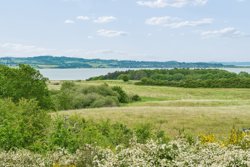 Skoven 12, Fejrup, 8420 Knebel