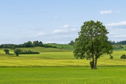 Skolemarken 2, Grønfeld, 8400 Ebeltoft