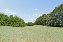 Plantagevej 20, Thorsager, 8410 Rønde