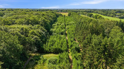 Komosevej 12 & 14, 8600 Silkeborg