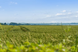 Batumvej 18, Batum, 7870 Roslev