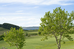 Bakkevangen 10, Hyl Skovgård, 8400 Ebeltoft