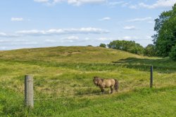 Hobrovej 38, Dalsgård Mrk, 9560 Hadsund