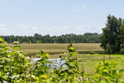 Lyngballevej 7, Herskind, 8464 Galten