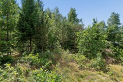 Teglgårdsparken 49, Truust, 8882 Fårvang